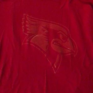 VS PINK Illinois state crew neck sweatshirt